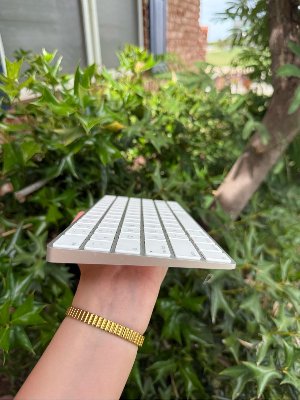 Apple Magic Keyboard - Picture 5 of 5